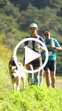 BIB:  <button type="button" onclick="openModal(26576894)" class="btn btn-primary btn-sm float-right" data-toggle="modal" data-target=".modal-high-quality">
                <i class="fa fa-download"></i> Download
                </button>